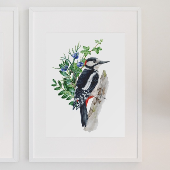 Great Spotted Woodpecker Bird Wall Art Watercolor Illustration Print Unframed - Picture 3 of 7